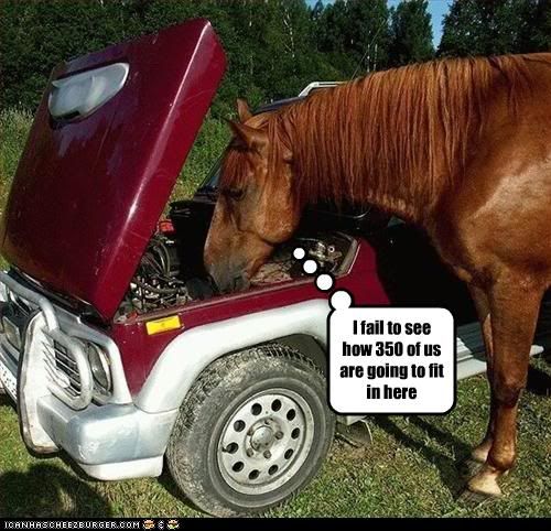 funny-pictures-horse-looks-at-engin.jpg