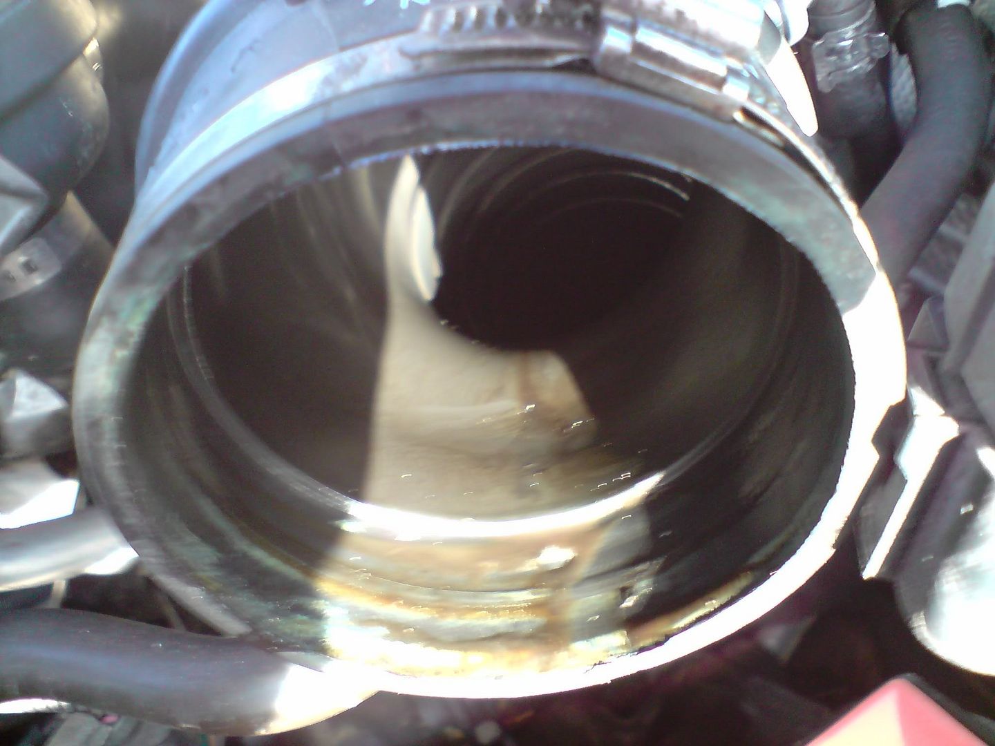 S**T!!! Has my head gasket gone? HELP! ( Audi TT Forum