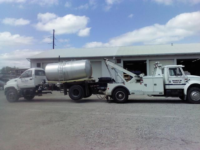 IMGA0081.jpg