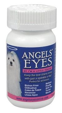 Angel Eyes Dogs