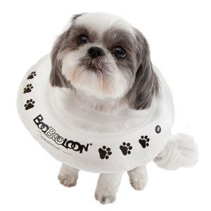 Inflatable Surgery Collars For Dogs Uk Inflatable Surgery Collars For Dogs Uk