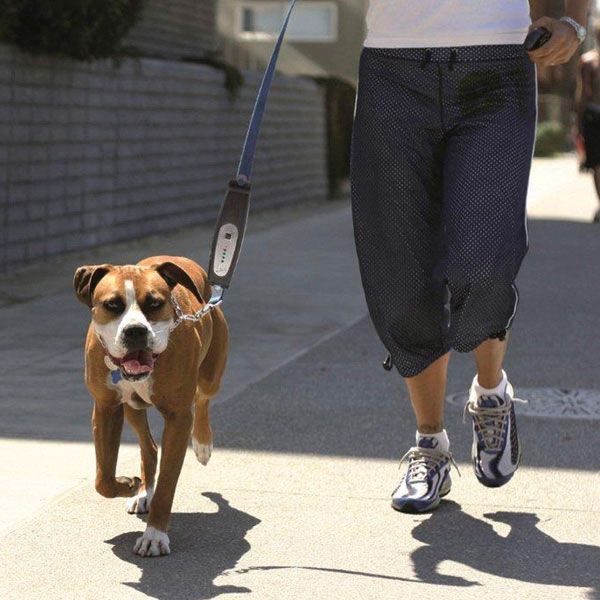 no more pulling when walking your dog!