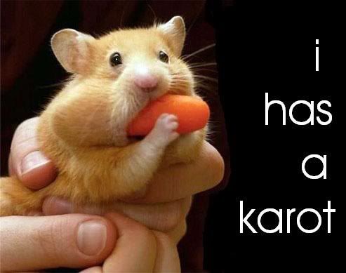 HamsterCarrot.jpg