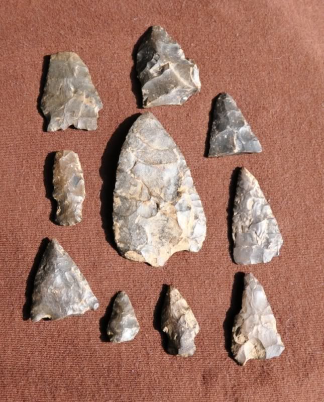 arrowheads1.jpg