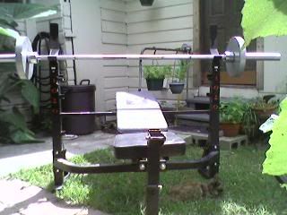 Body Vision Olympic Size Bench Press In San Antonio Tx Free San