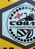 сова пчелов
