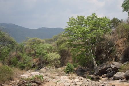 River Bed