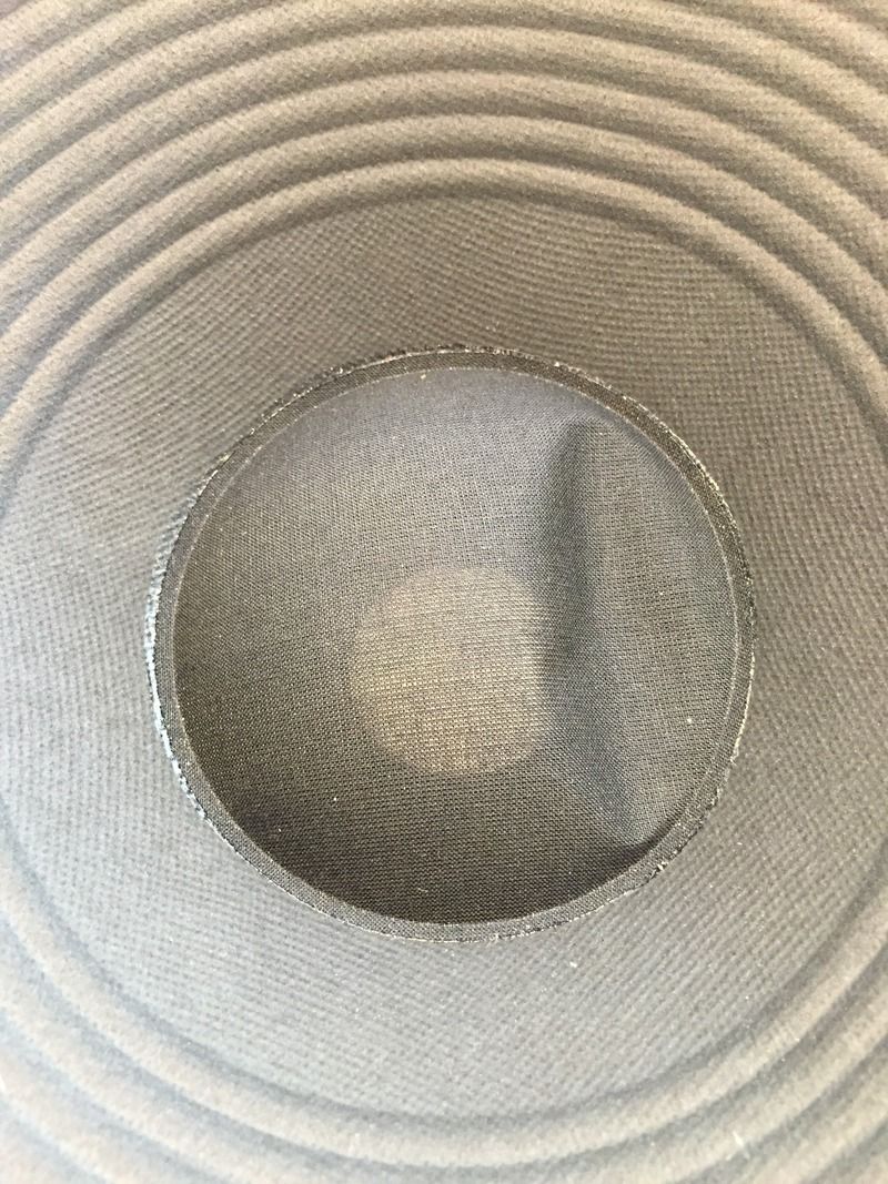 Speaker Dust Cone Dented The Gear Page