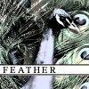 Feather Avatar