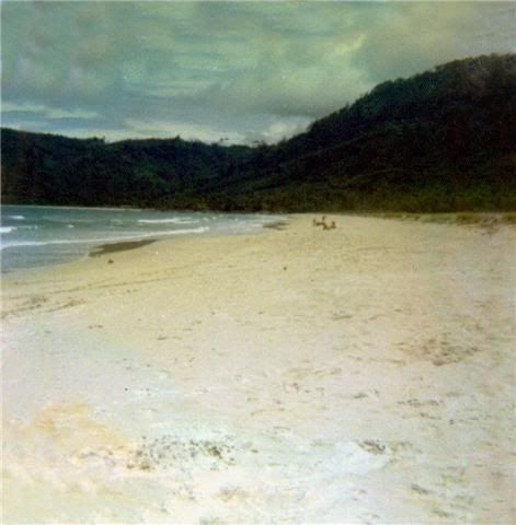 Patong.jpg