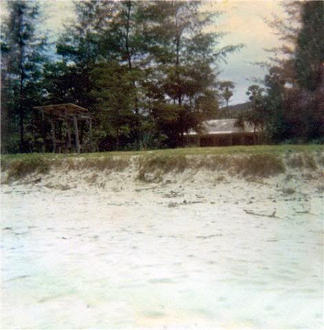 Patong3.jpg
