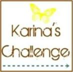 Karina's Challenge