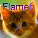 flameh Avatar