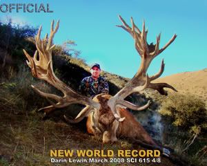 Darin Lewin. World Record Red Stag SCI 621