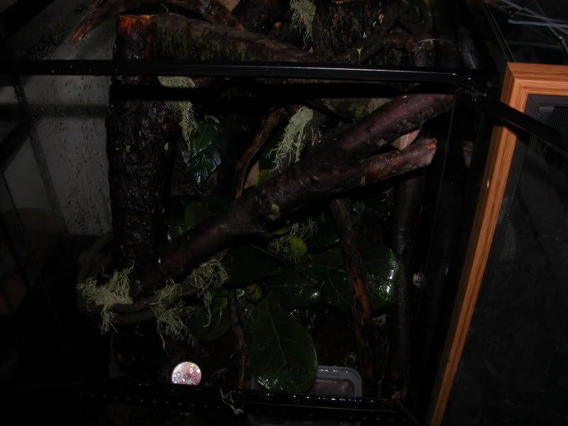 DSCN3913.jpg