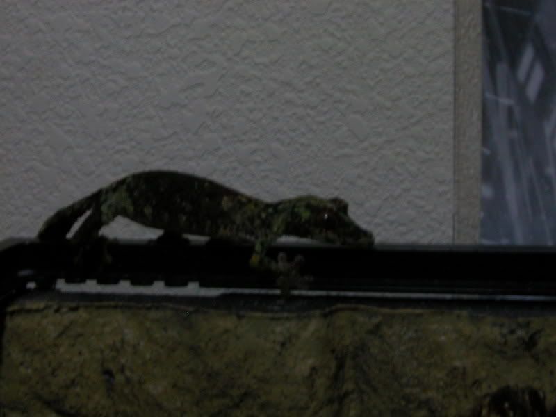 Image002.jpg