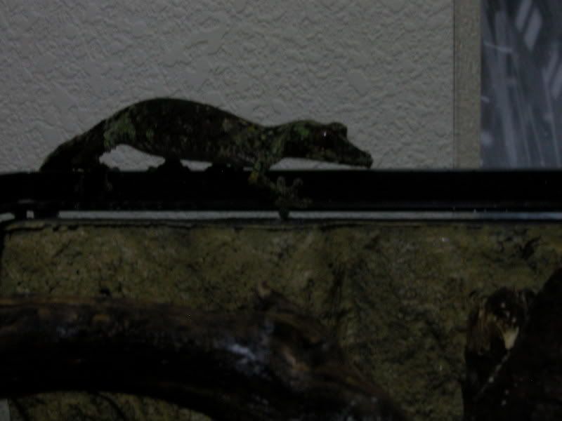 Image003.jpg