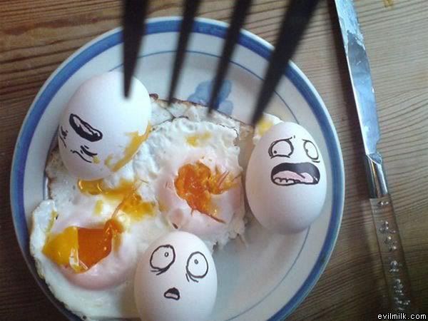 Scared_Eggs685.jpg