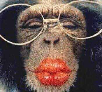 pucker.jpg