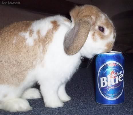 AfterEasterBunny.jpg