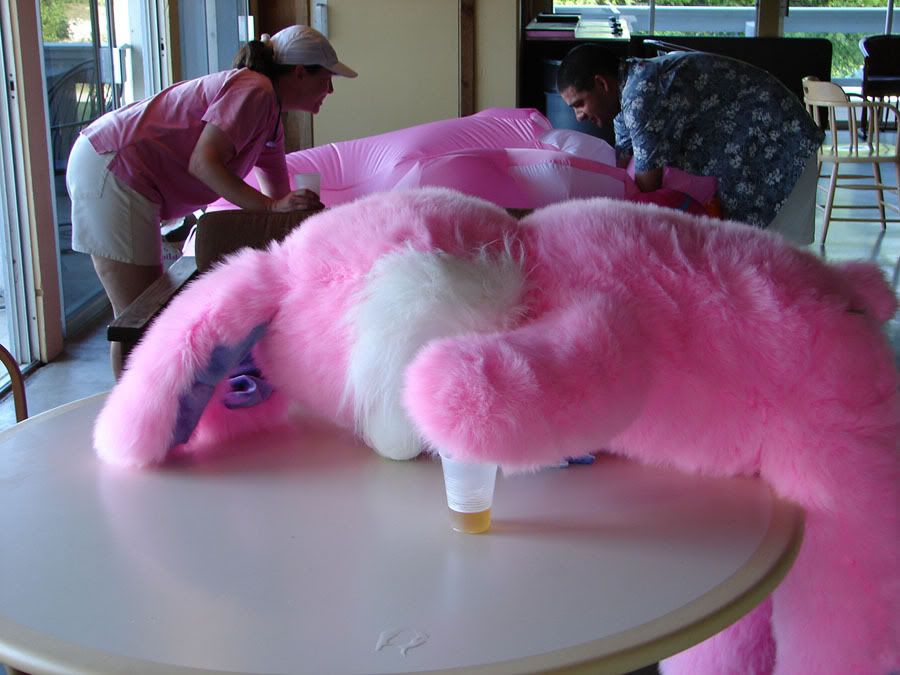 Passed20out20Bunny.jpg