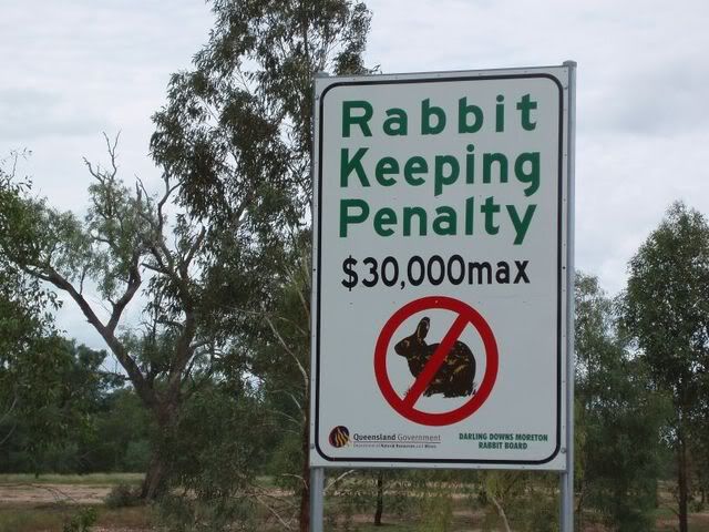rabbit_sign.jpg