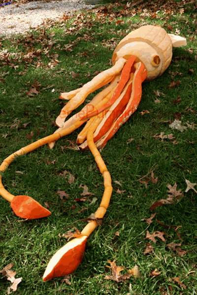 giant-squid-pumpkin.gif