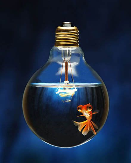 light-bulb-fish-bowl.jpg