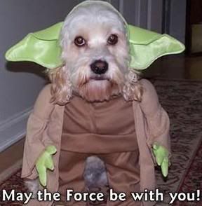 plop_MaytheForcebewithyou.jpg