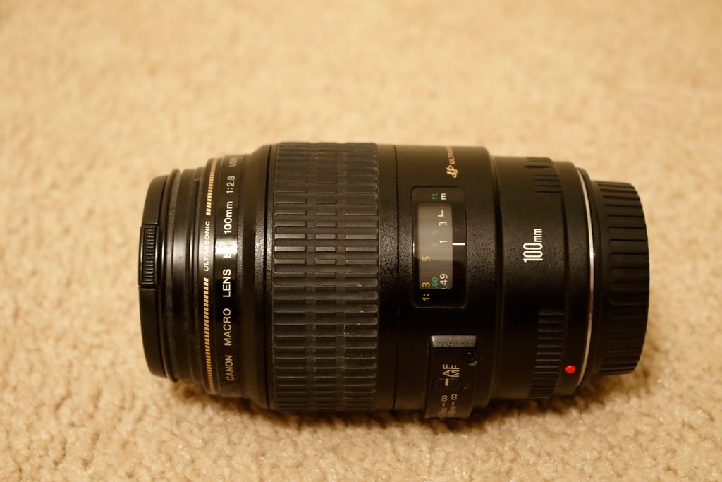 IMAGE: http://i70.photobucket.com/albums/i114/truck00/DK3A8770l.jpg