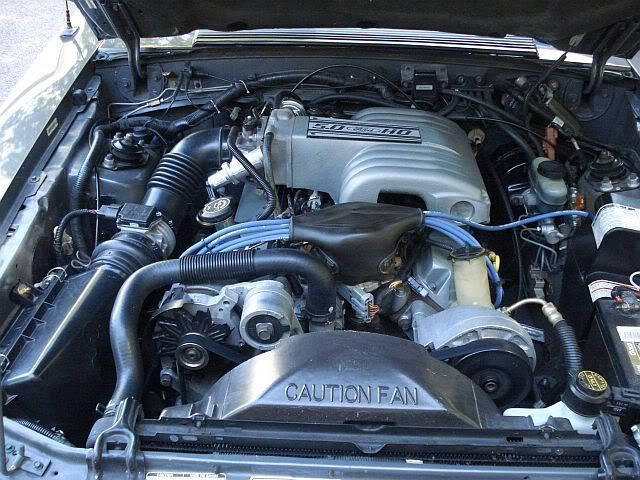 [Image: DSC01232.jpg]