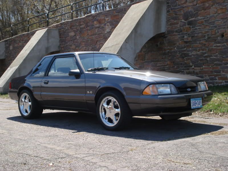 [Image: DSC01414.jpg]