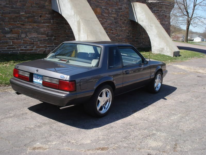 [Image: DSC01421.jpg]