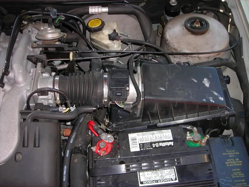 DSCN3963.jpg