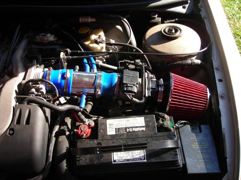 DSCN3972.jpg