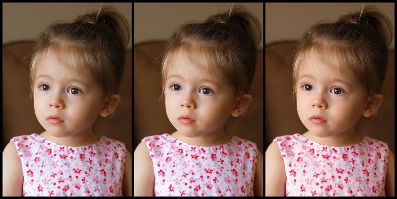 IMAGE: http://i70.photobucket.com/albums/i117/yorkiekisses/Photography/IMG_3855-comparison2-web.jpg