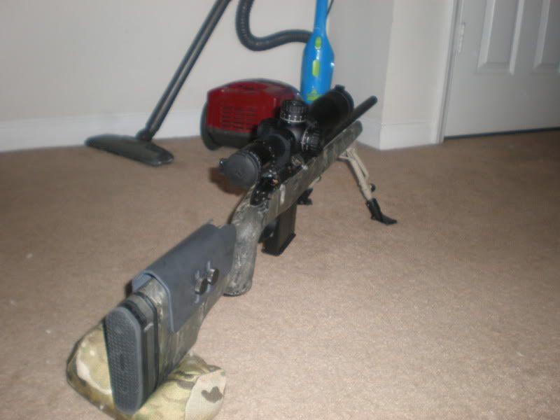 PH3.jpg