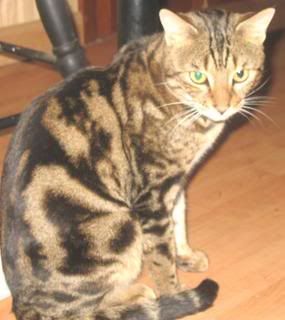 Photo Sharing and Video Hosting at Photobucket