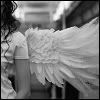 angel wing Pictures, Images and Photos