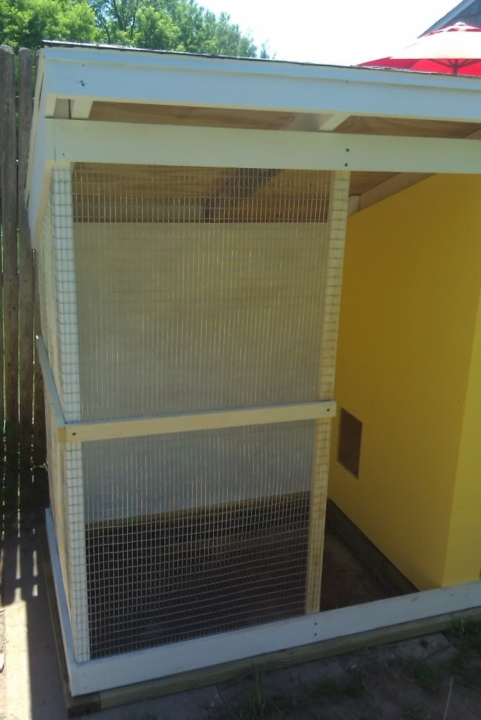 bantamcoop BackYard Chickens Community