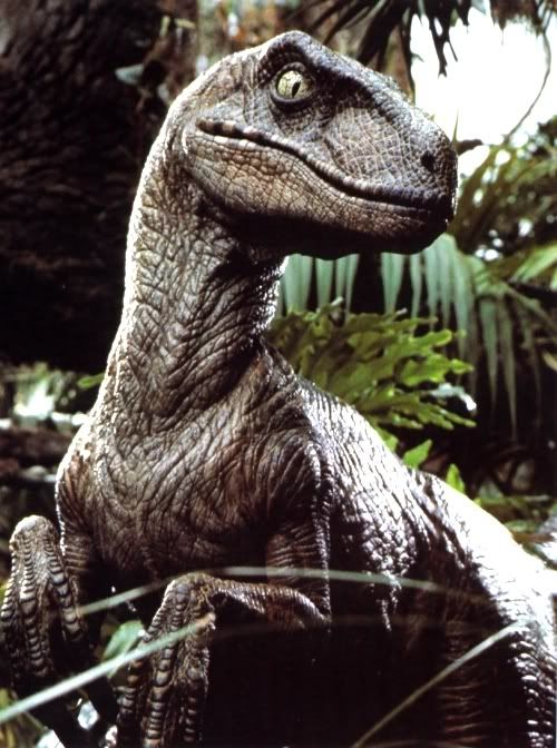 Gambar Velociraptor