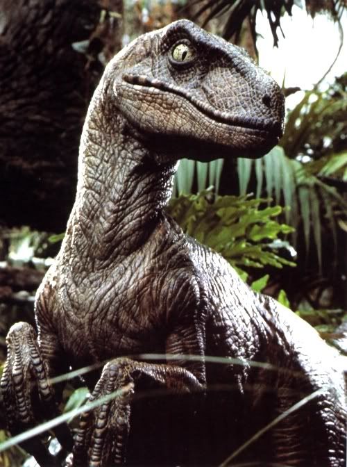 velociraptor Mengenal 8 Hewan Purba Paling Terkenal