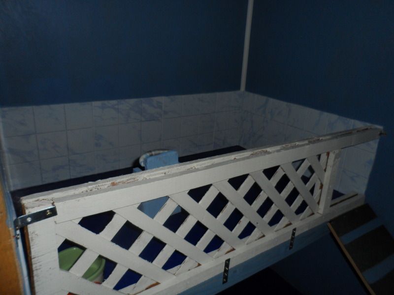 Thread: Converting a shed for bunnies :) I need answers!