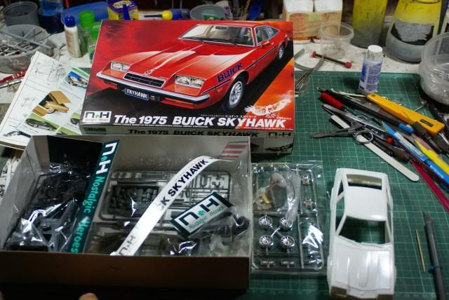 BuickSkyhawkWIP20-05-20142_zps0b97902c.j