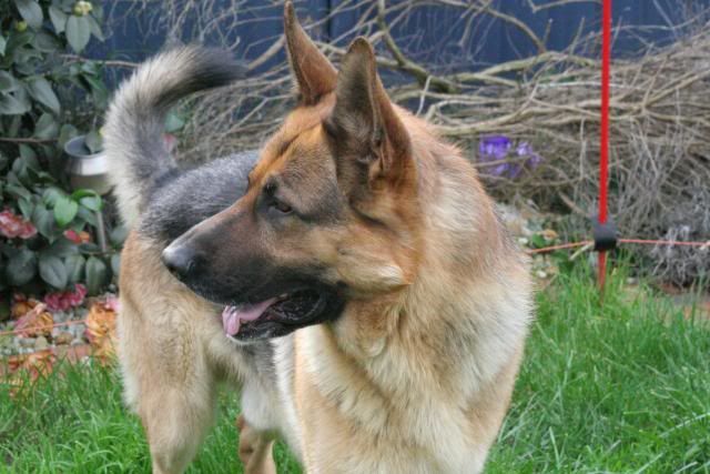 IMAGE: http://i70.photobucket.com/albums/i82/istie-5/Bohdi/daytwo006.jpg