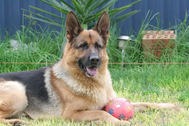 IMAGE: http://i70.photobucket.com/albums/i82/istie-5/Bohdi/daytwo031.jpg