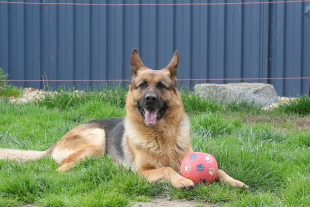 IMAGE: http://i70.photobucket.com/albums/i82/istie-5/Bohdi/daytwo037.jpg