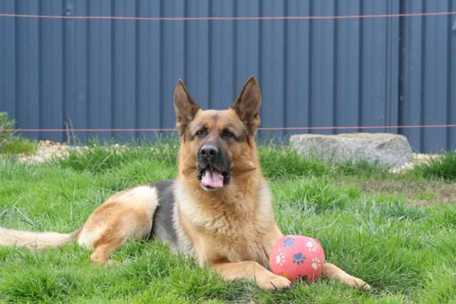 IMAGE: http://i70.photobucket.com/albums/i82/istie-5/Bohdi/daytwo038.jpg