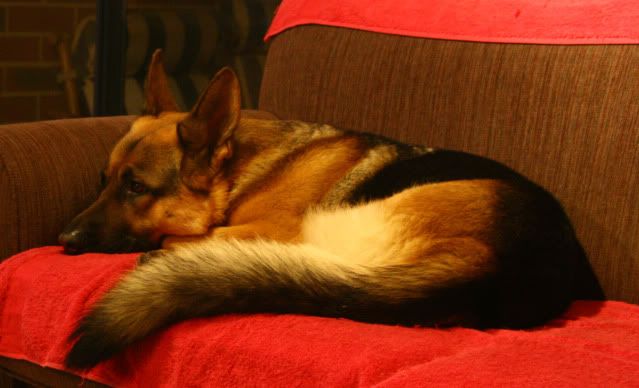 IMAGE: http://i70.photobucket.com/albums/i82/istie-5/Daire%202/Newcamera005.jpg