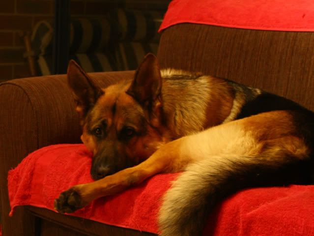 IMAGE: http://i70.photobucket.com/albums/i82/istie-5/Daire%202/Newcamera015.jpg